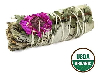 Eko Dahlia Sage Smudge - 10cm