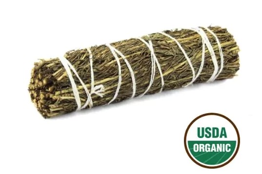 Eko Pine (Tall) Smudge - 10cm