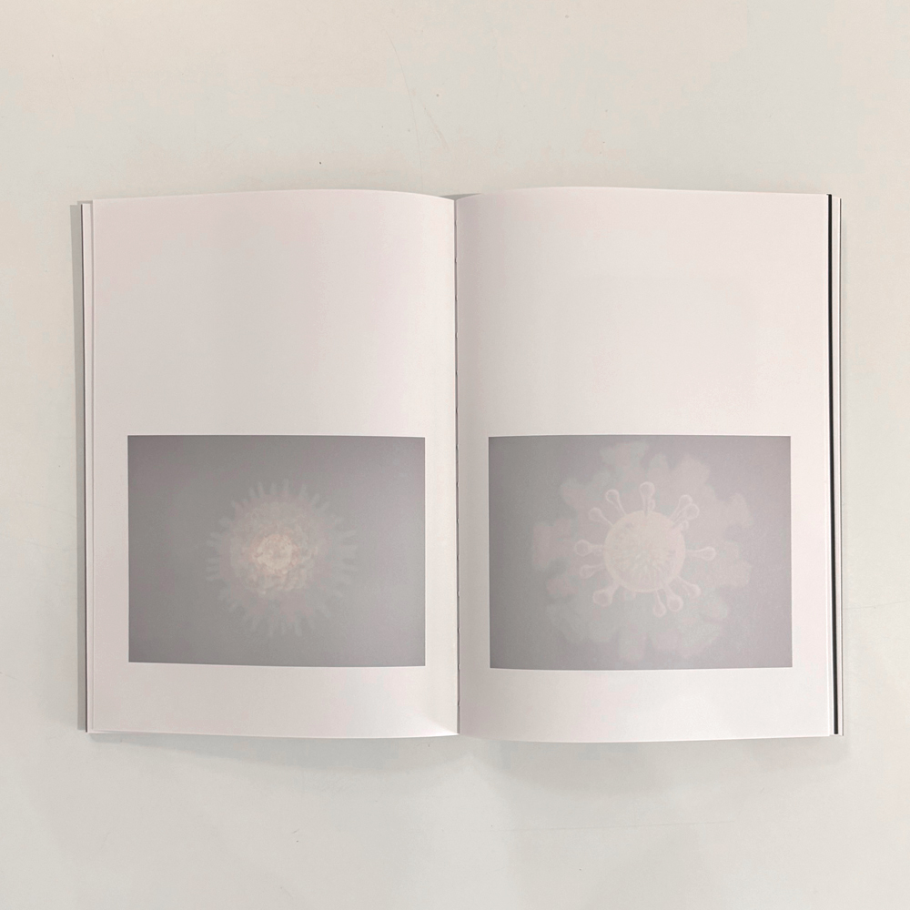 Kai Rennes: Photography, Video, Installations  - 7