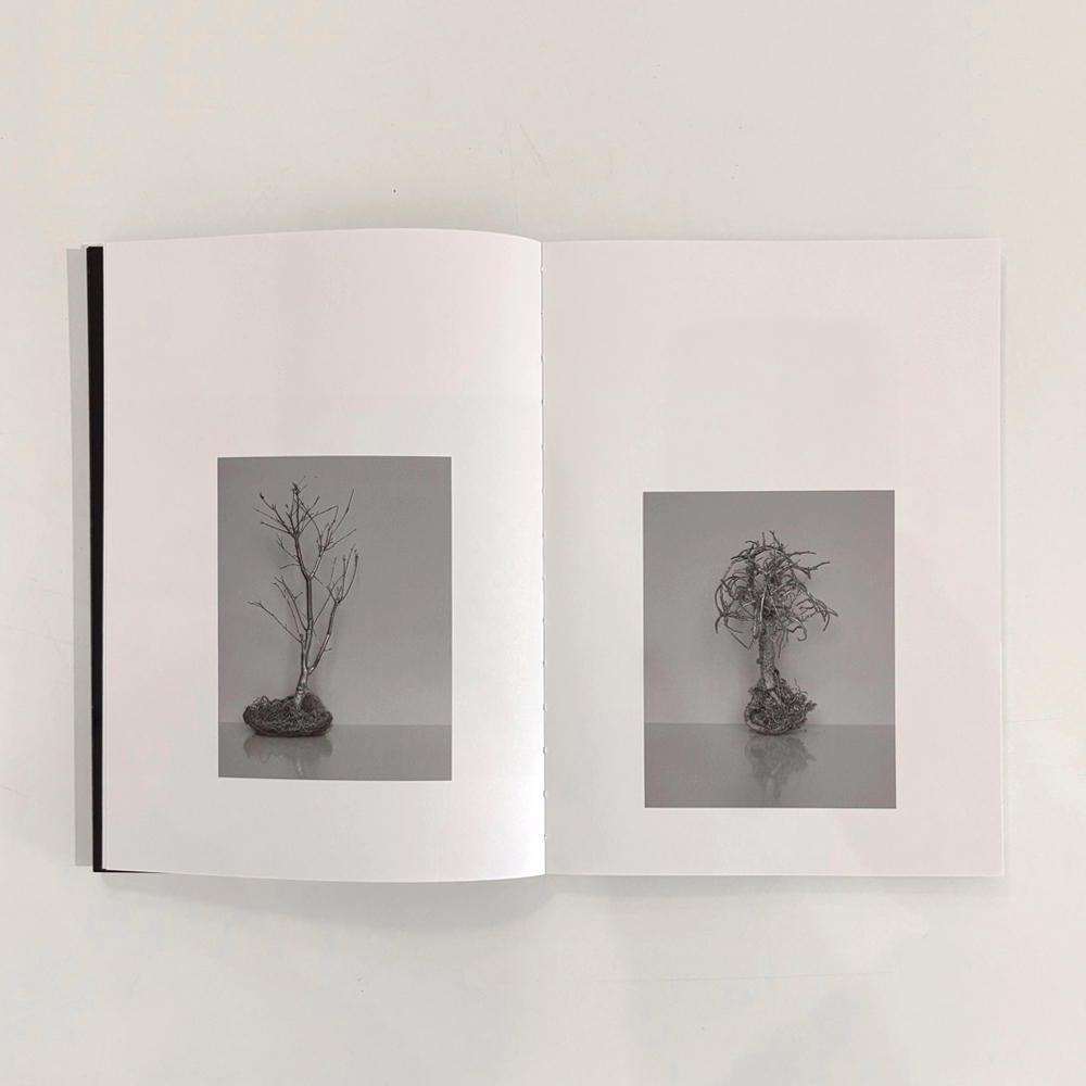 Kai Rennes: Photography, Video, Installations  - 2
