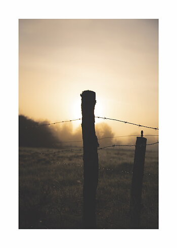 Spring Morning - Poster