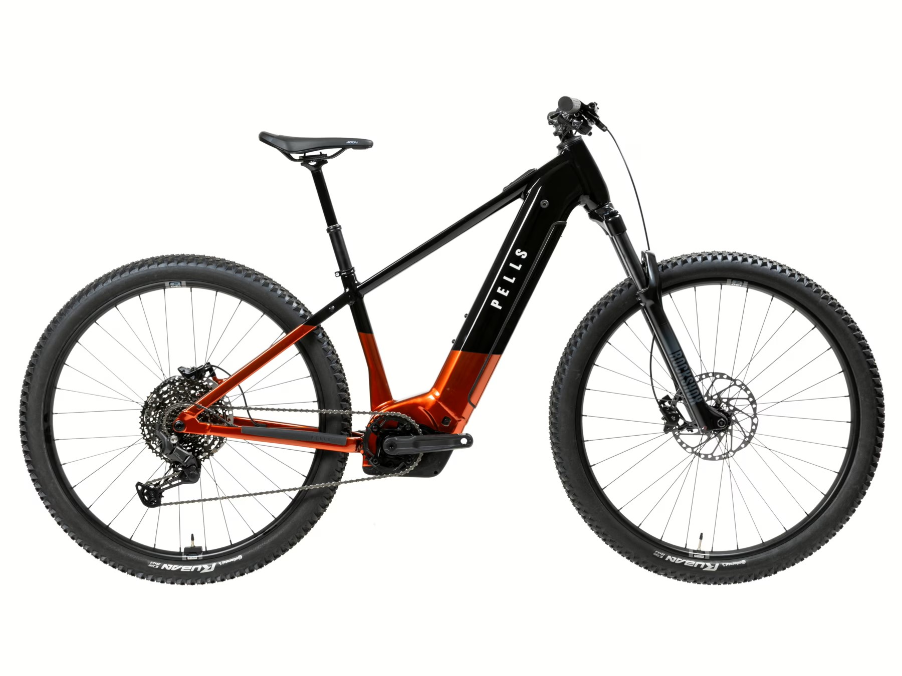 2025 PELLS Thorr Bosch 2