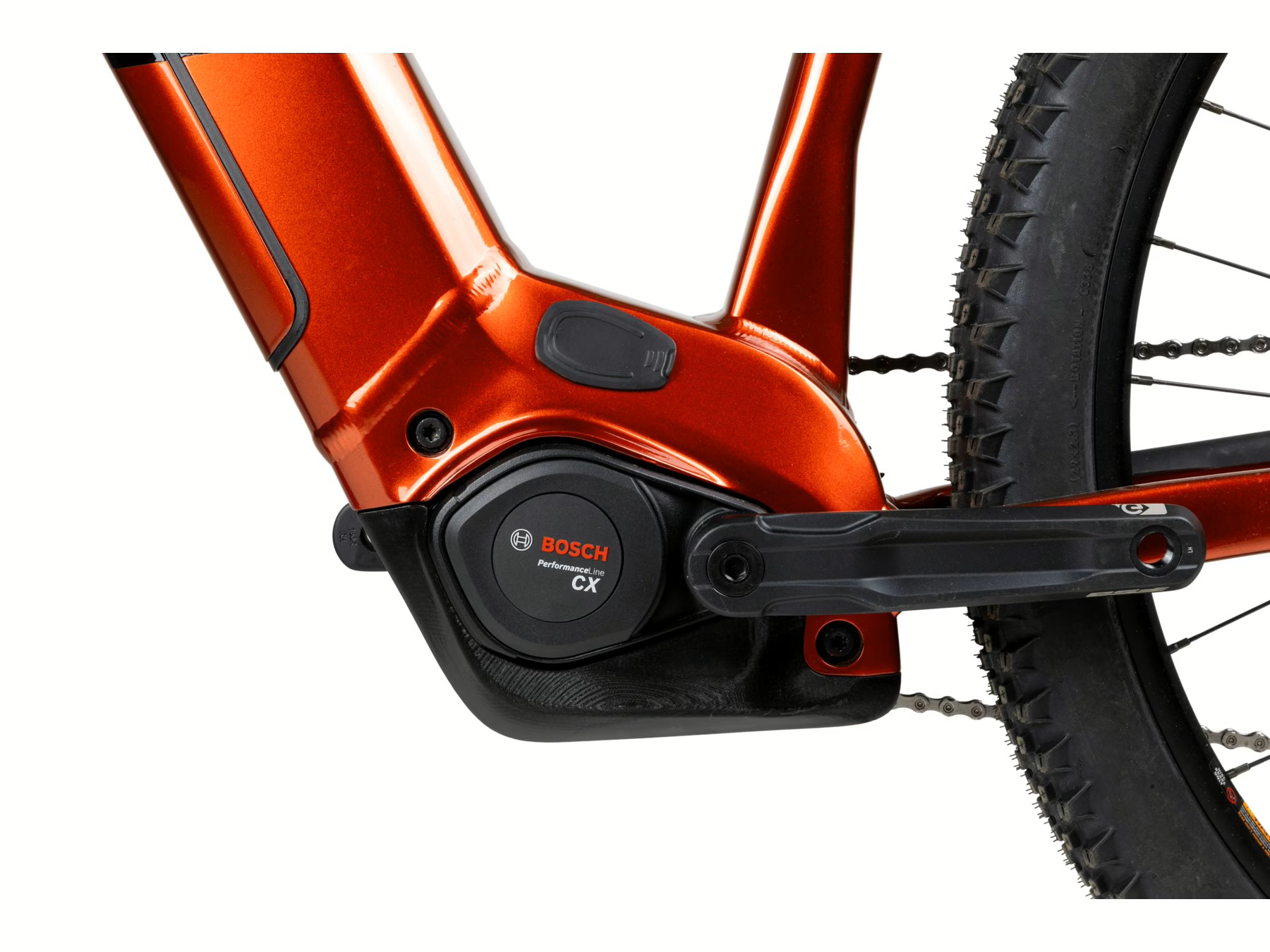 2025 PELLS Thorr Bosch 2 - 2