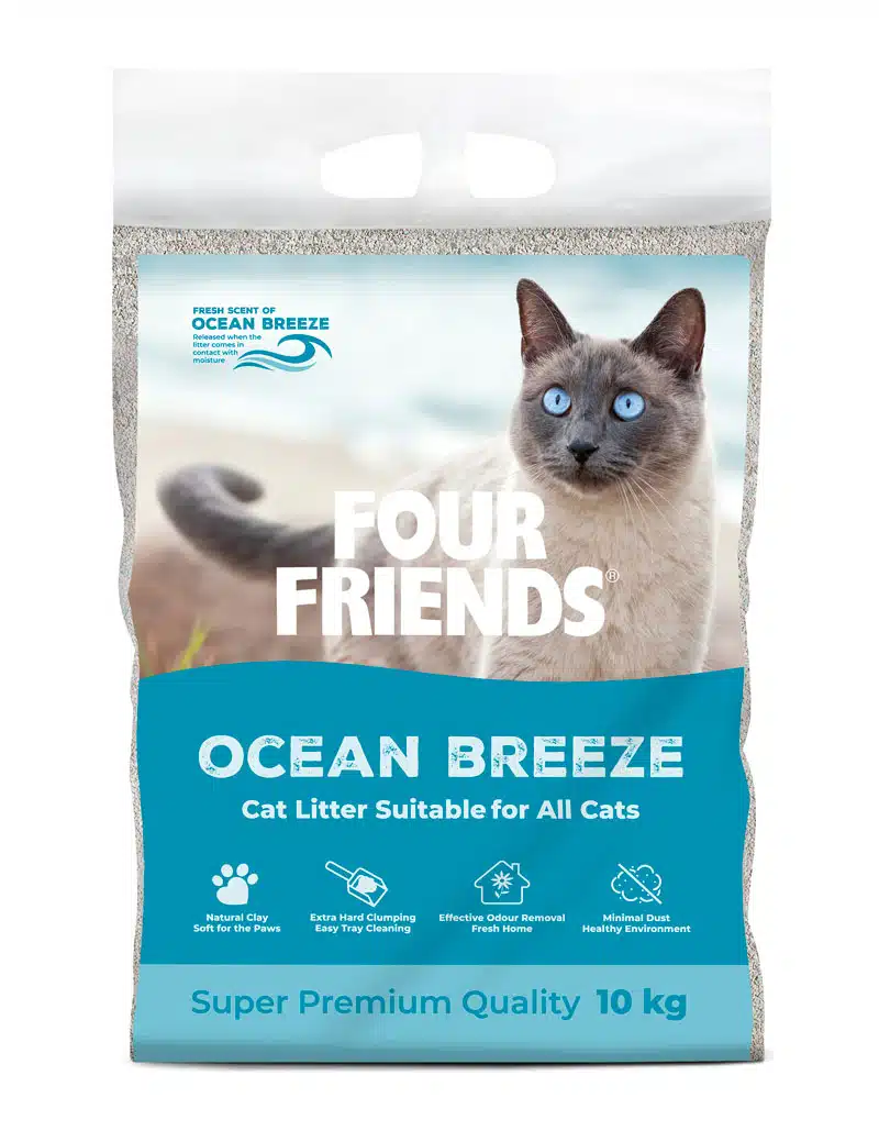 Four Friends Kattsand