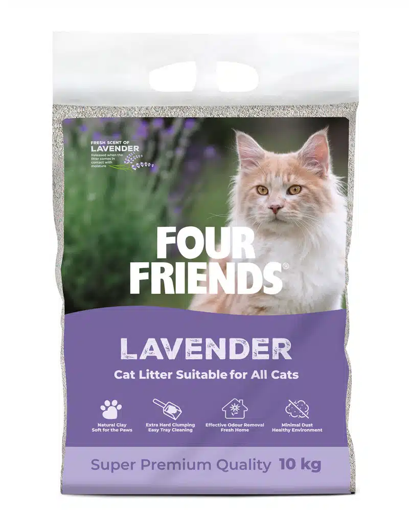 Four Friends Kattsand - 2