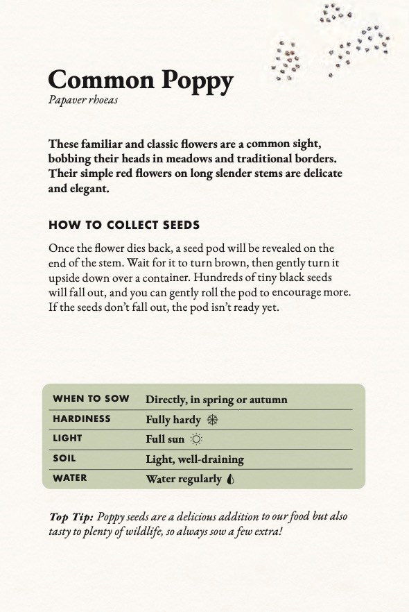 The Seed Collector's Kit - 7