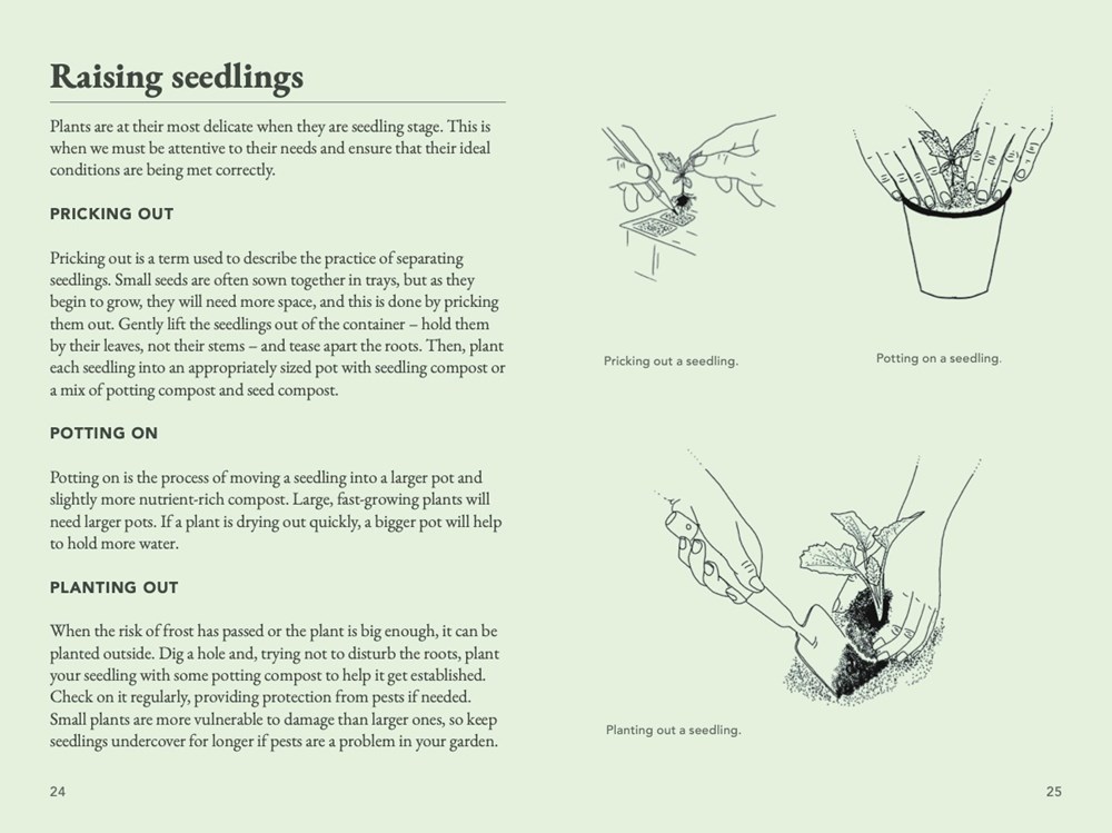 The Seed Collector's Kit - 3