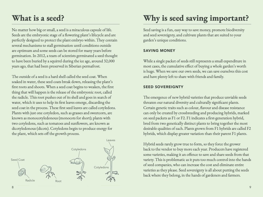 The Seed Collector's Kit - 2