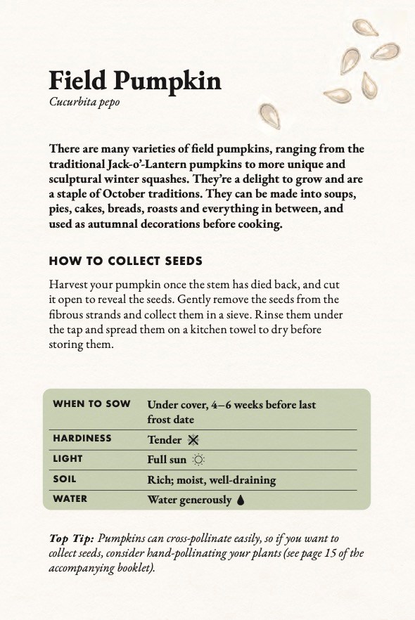 The Seed Collector's Kit - 5