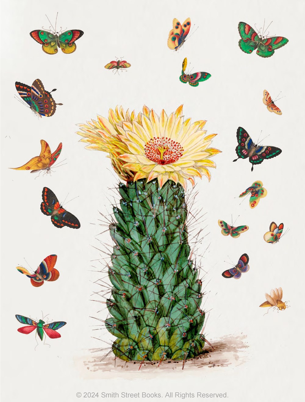 Cut-out Curiosities: Botanica - 5