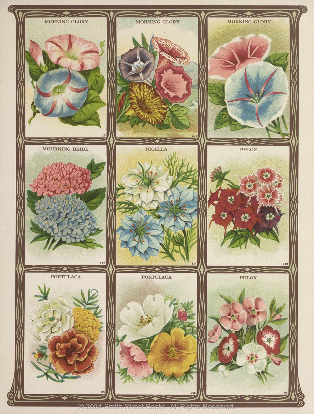 Cut-out Curiosities: Botanica - 9