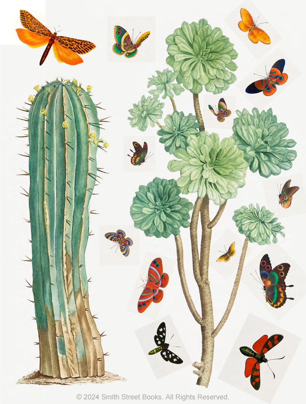 Cut-out Curiosities: Botanica - 4