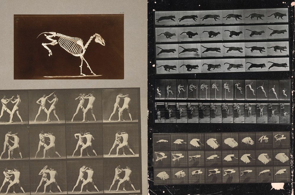 Cut-out Curiosities Space, Science & Technology - 10