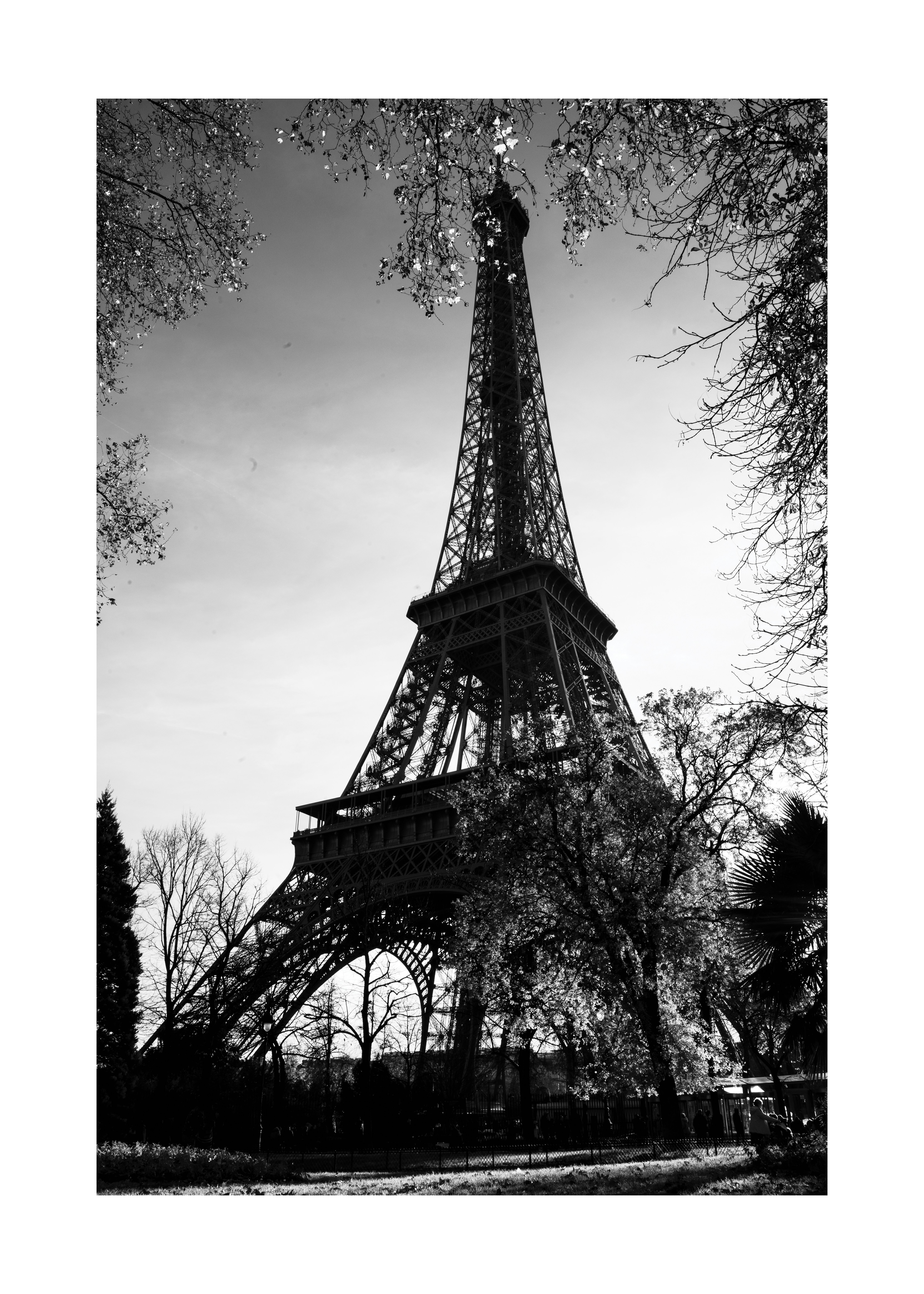 Eiffel Tower In Black & White - Poster - 2