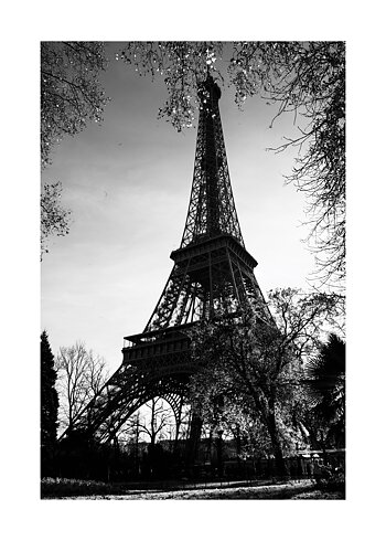 Eiffel Tower In Black & White - Poster