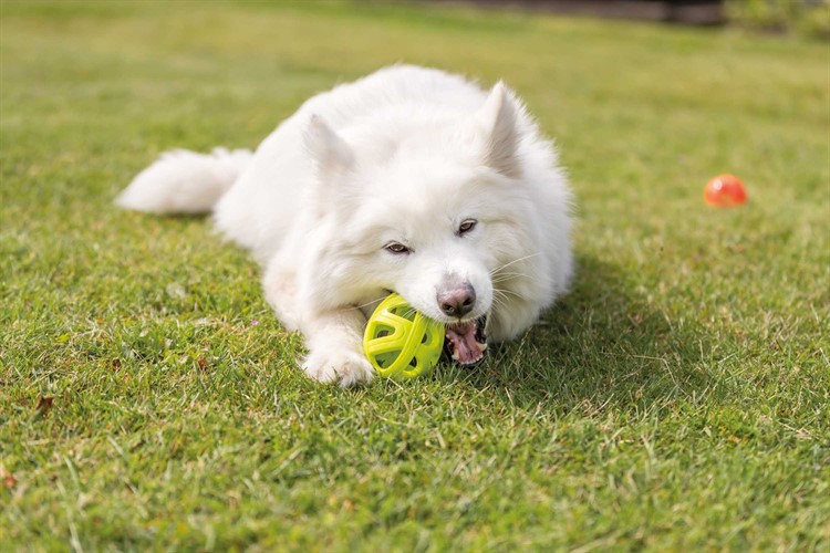 Honeycomb rugbyboll - 3