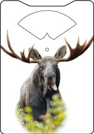 Time disc - Moose