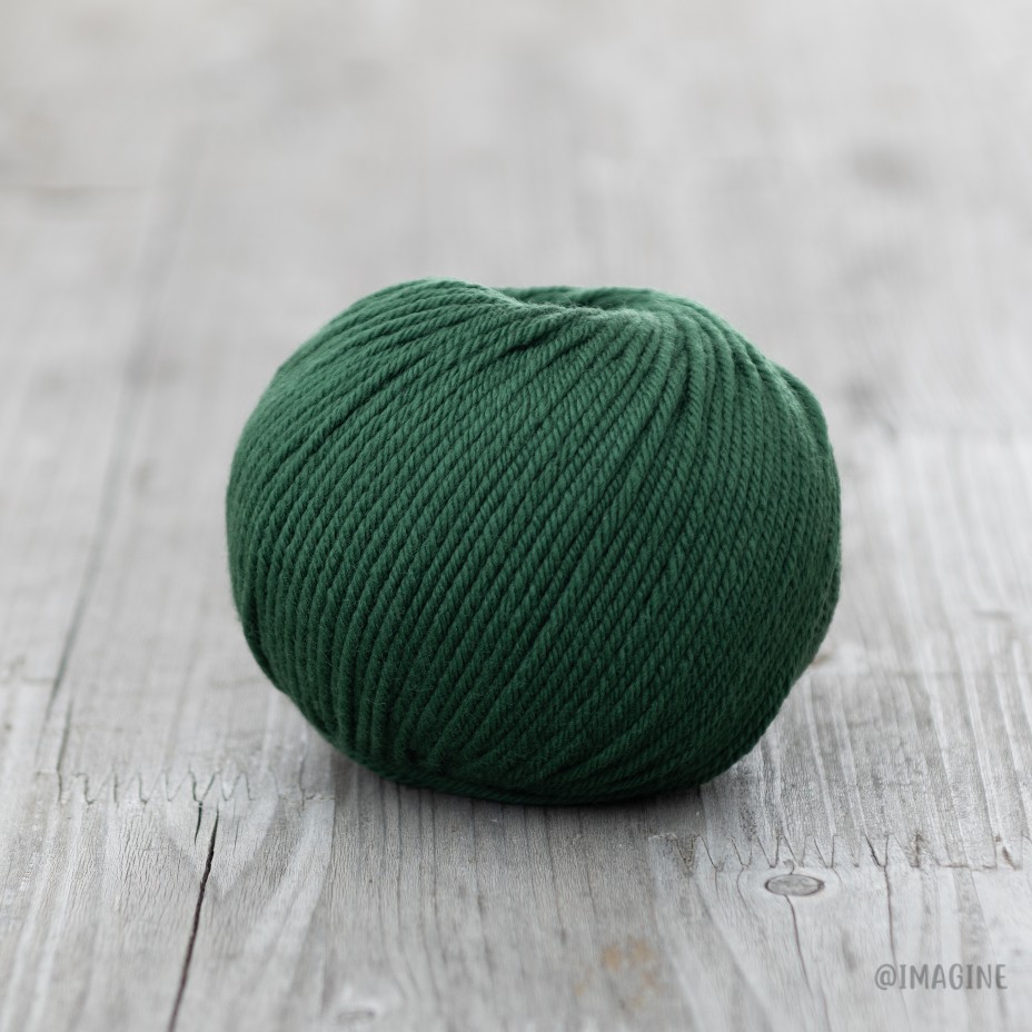 Imagine Soft Merino - 18 Forest Green