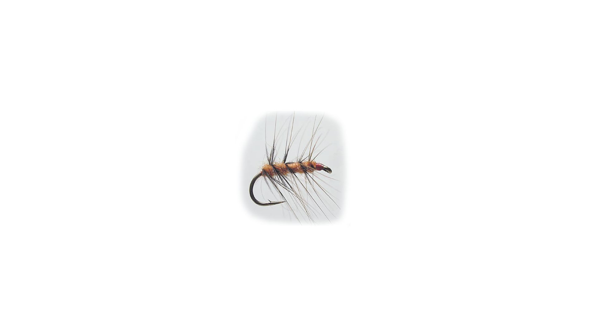 Torrfluga - Super Puppan Brun Orange