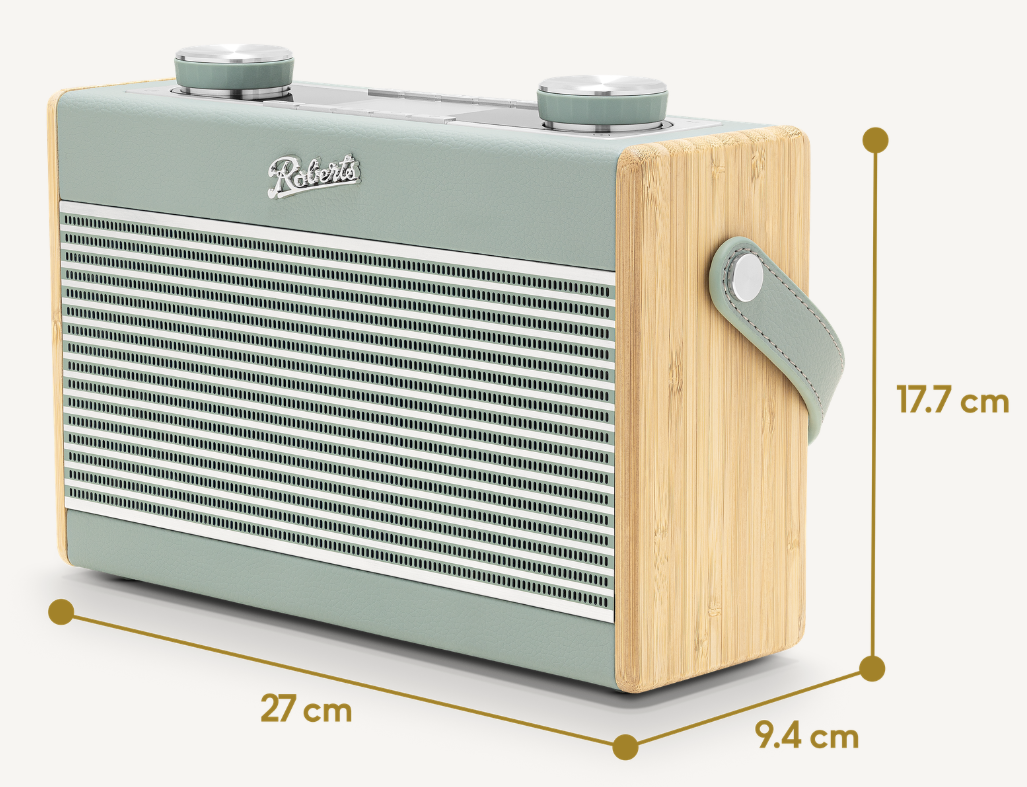 Roberts Radio Rambler MAX Duck - 5
