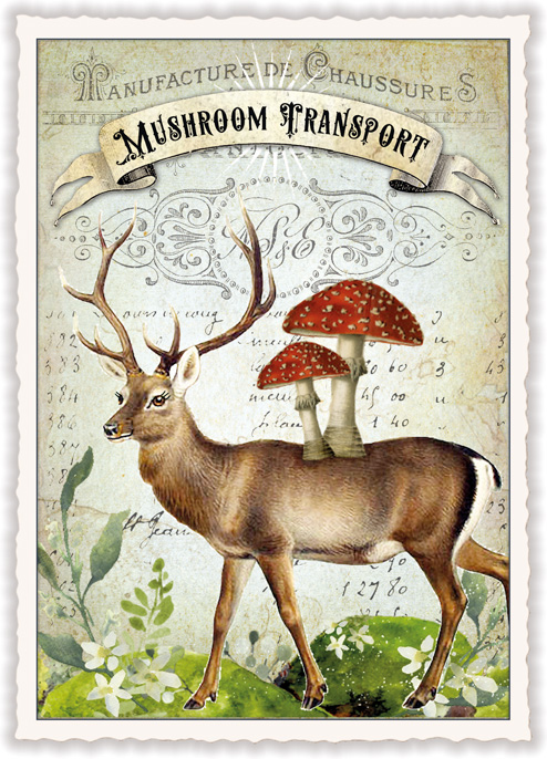 Mushroom Transport, Postcard