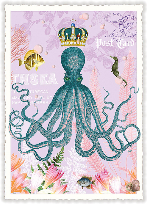 Octupus, Postcard