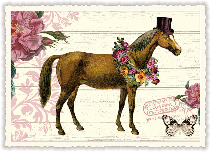 Horse, Postcard