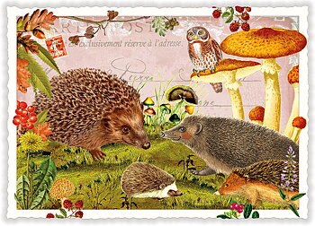 Autumn Feelings, Postcard