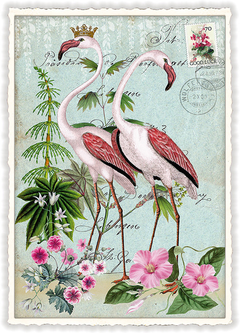 Flamingo Postcard