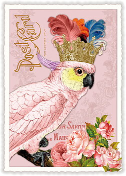 Cockatoo, Postcard