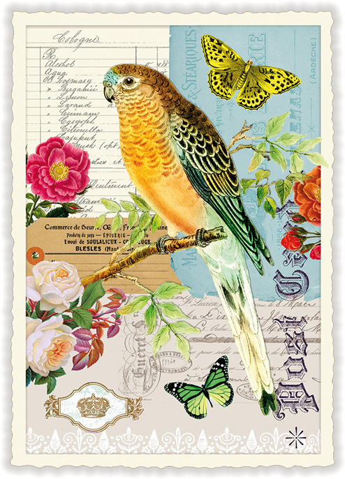Birds, Postcard