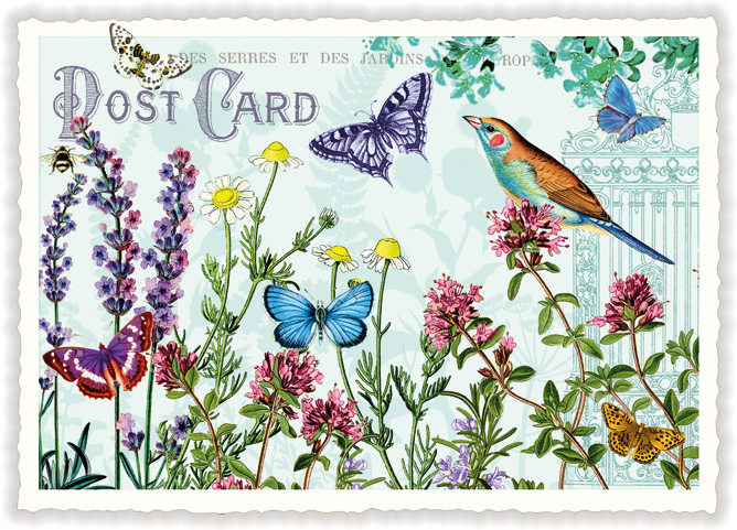 Flowers and Butterflies, Postcard