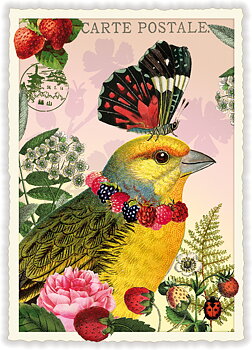 Birds, Postcard