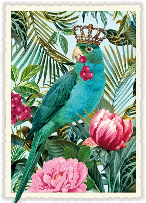 Parrot, Postcard