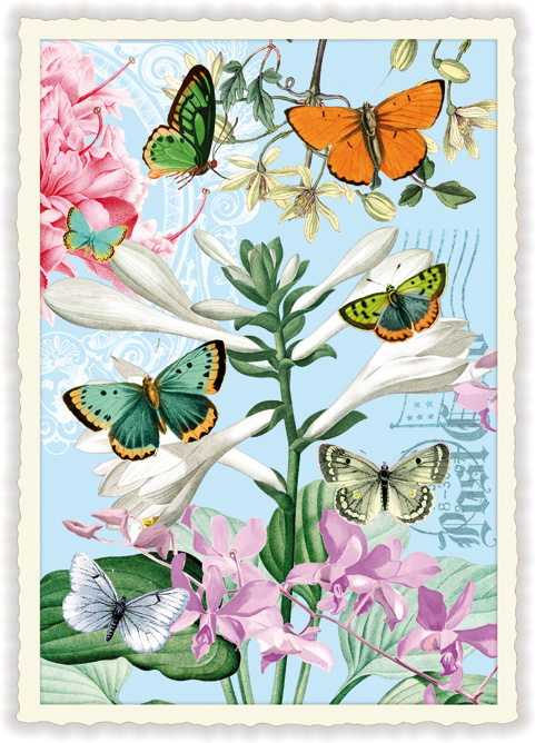 Butterflies, Postcard
