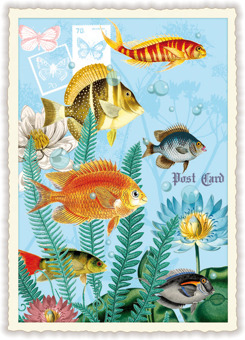 Fish, Postcard