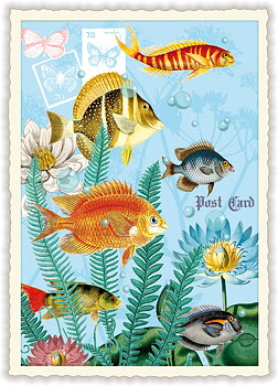 Fish, Postcard