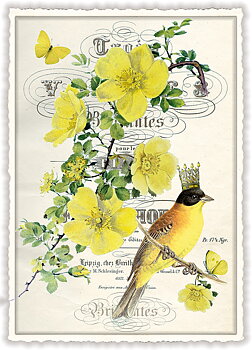 Buttercup, Postcard