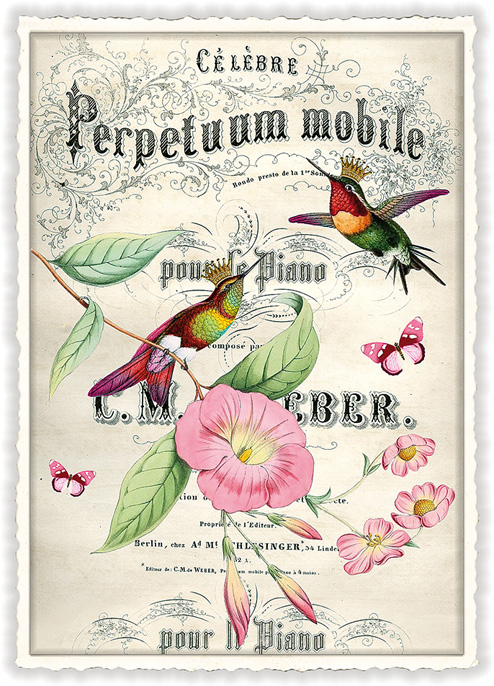 Petunia, Postcard