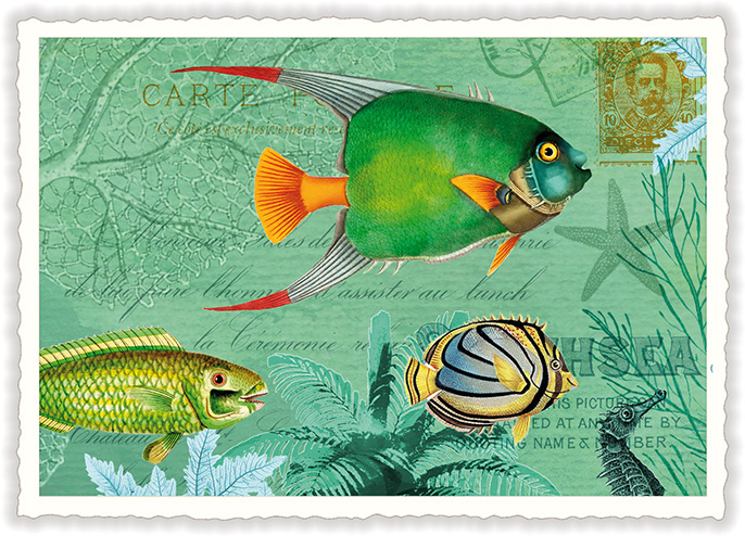 Fish in the Sea, Postcard