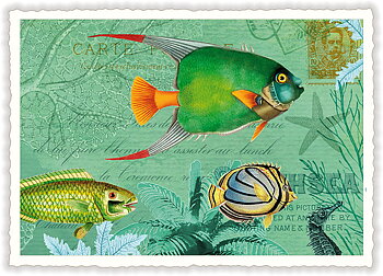 Fish in the Sea, Postcard