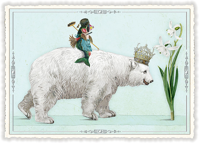 Polar bear and fish, Postcard