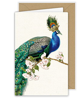 Beautiful Peacock, Greeting Card