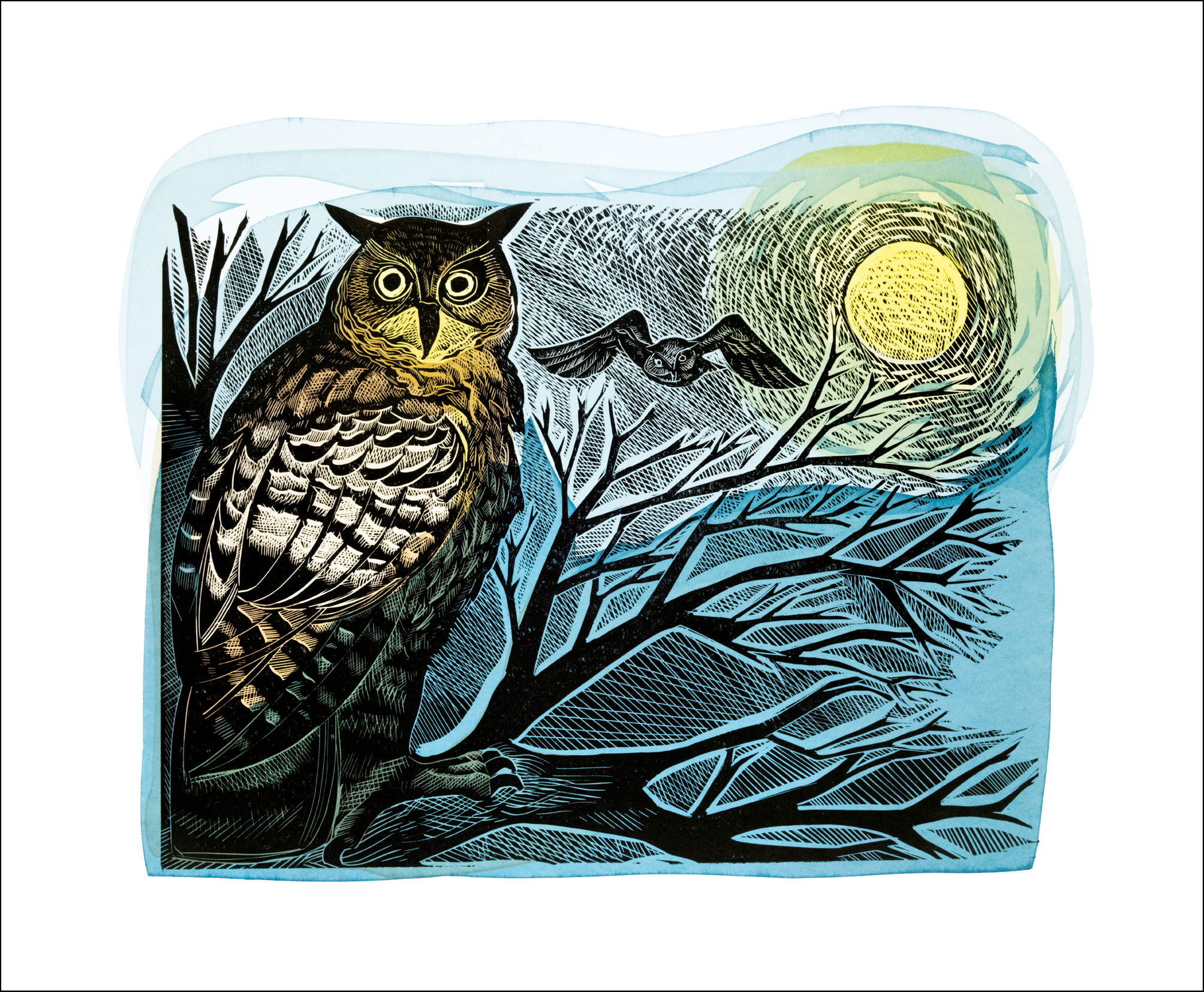 Owl and Moon by Angela Harding, Greeting card
