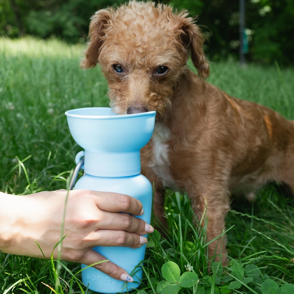 squeeze-to-drink bottle pressa-för-att-dricka-flaska till hund
