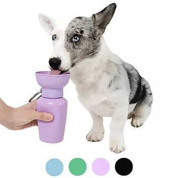 Springer dog travel bottle