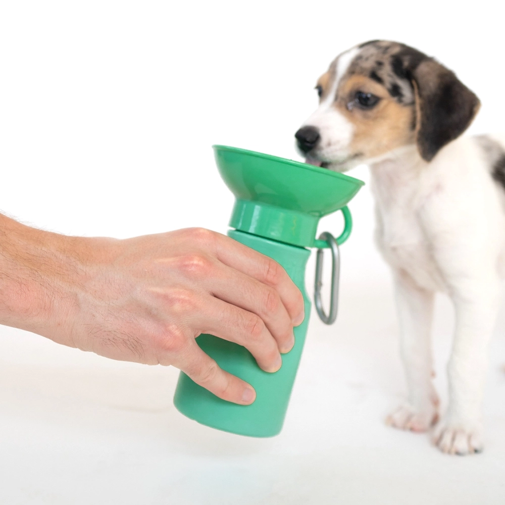 Water bottle with bowl | No water spillage