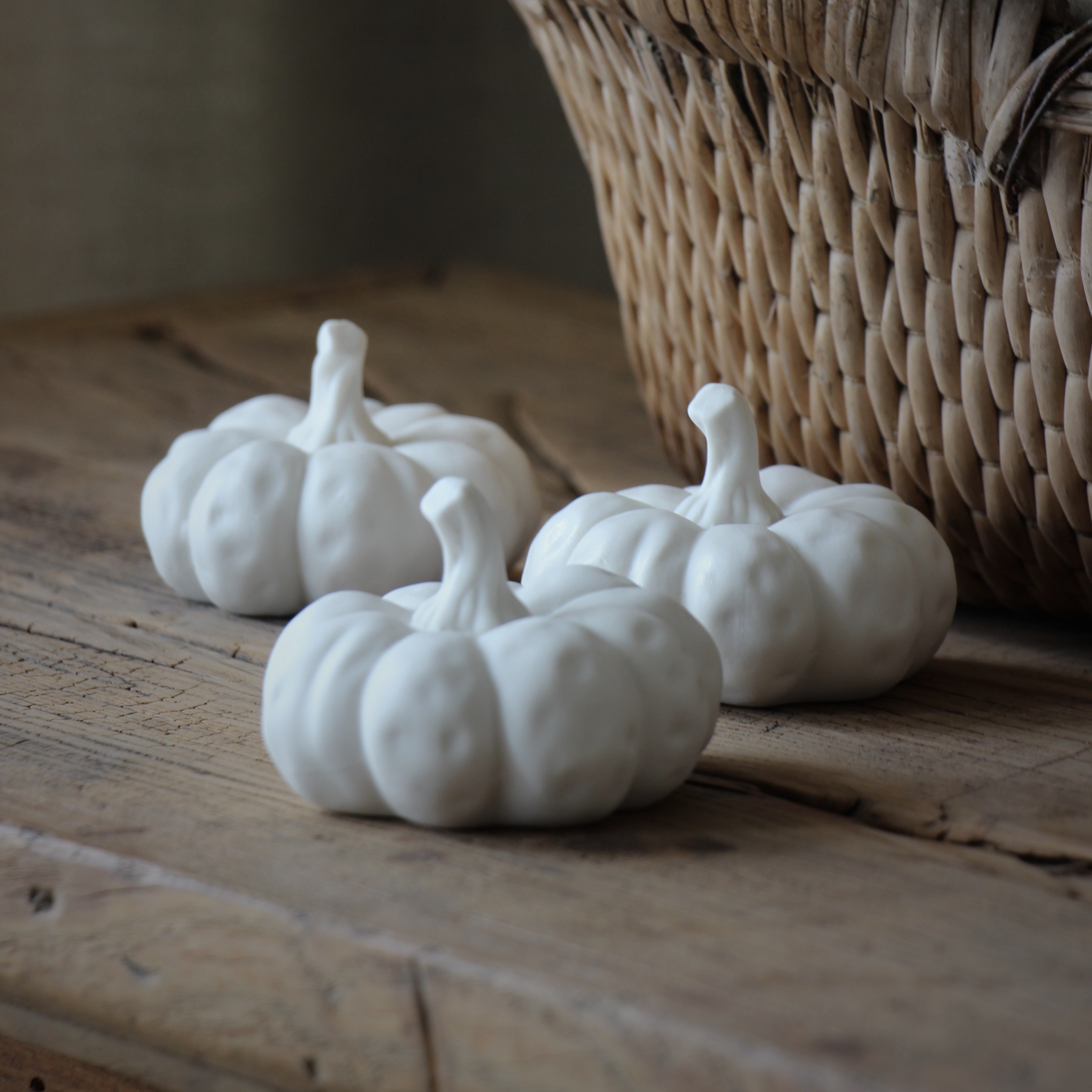 Pumpa - Majas Cottage - 3