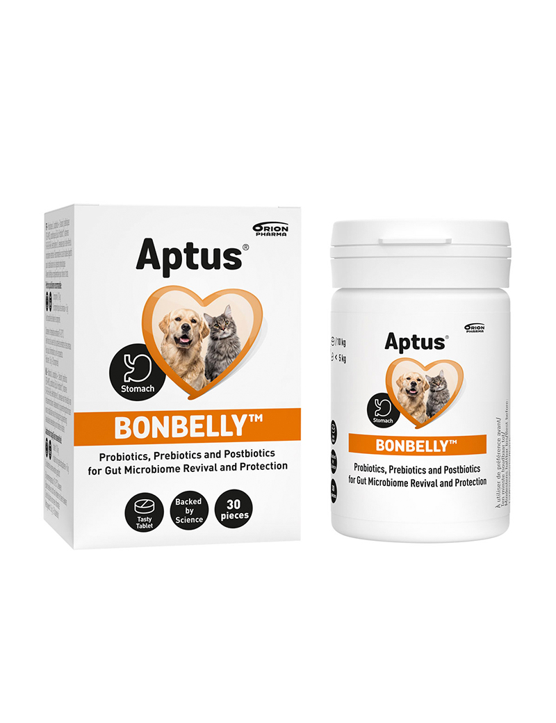 Aptus Bonbelly 30st