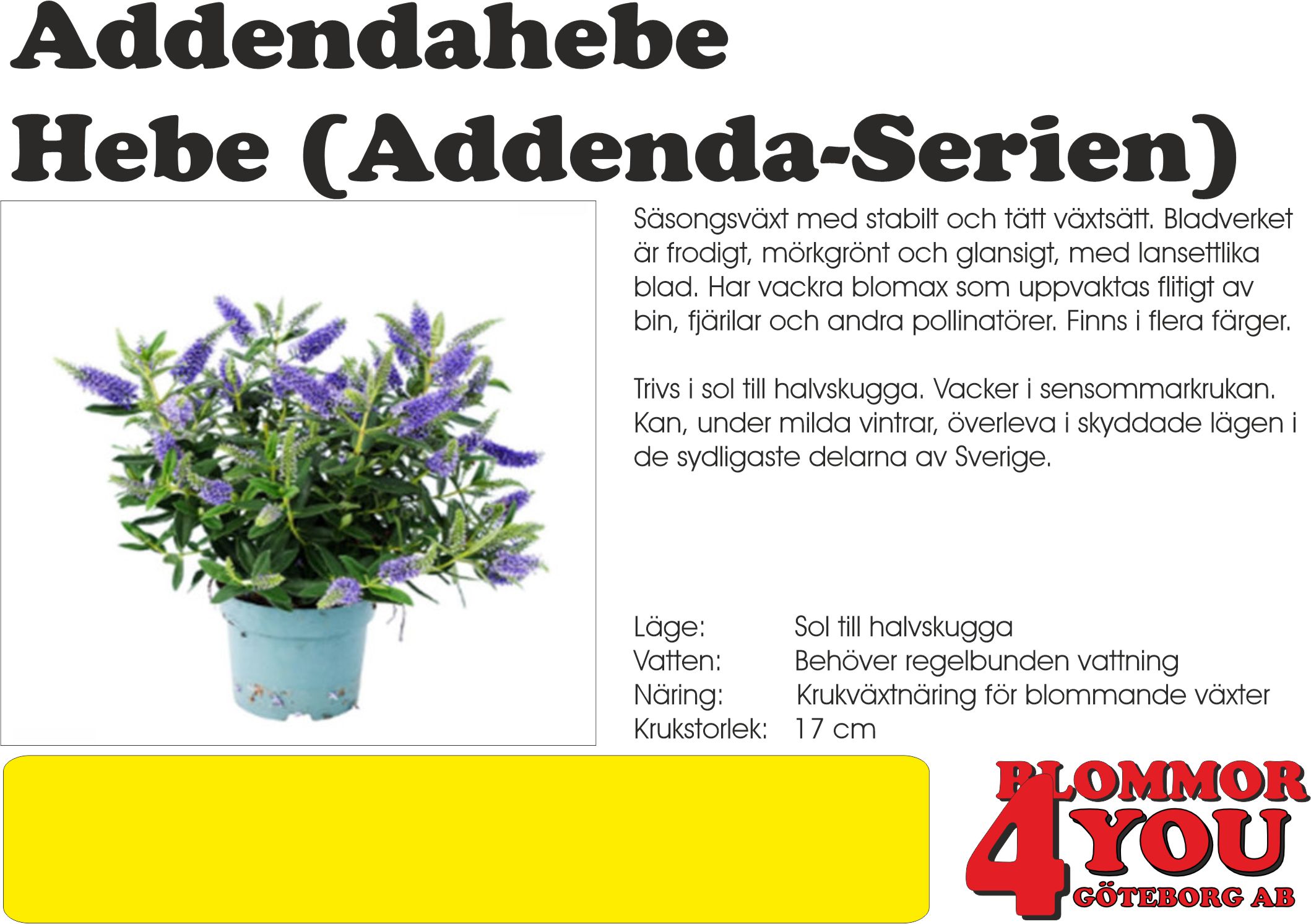 Addendahebe  Hebe (Addenda-Serien)  17Ø